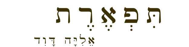 לוגו תפארת אליה דוד