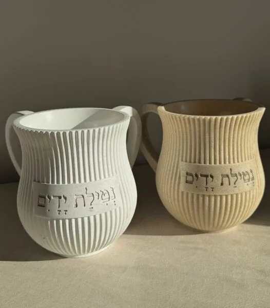 תפארת אליה דוד באינסטגרם - 2