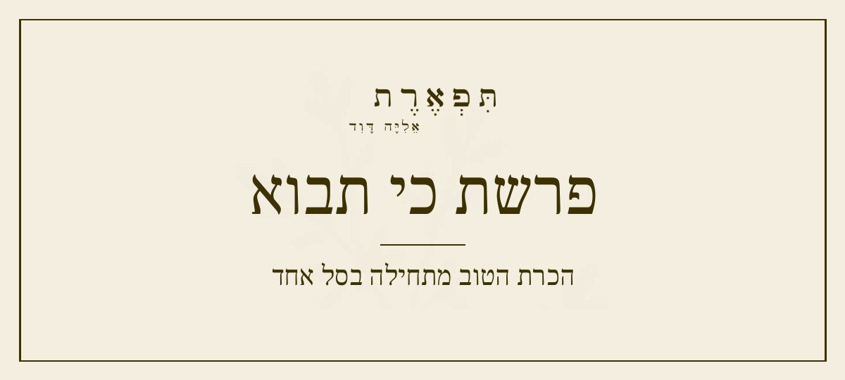 פרשת כי תבוא