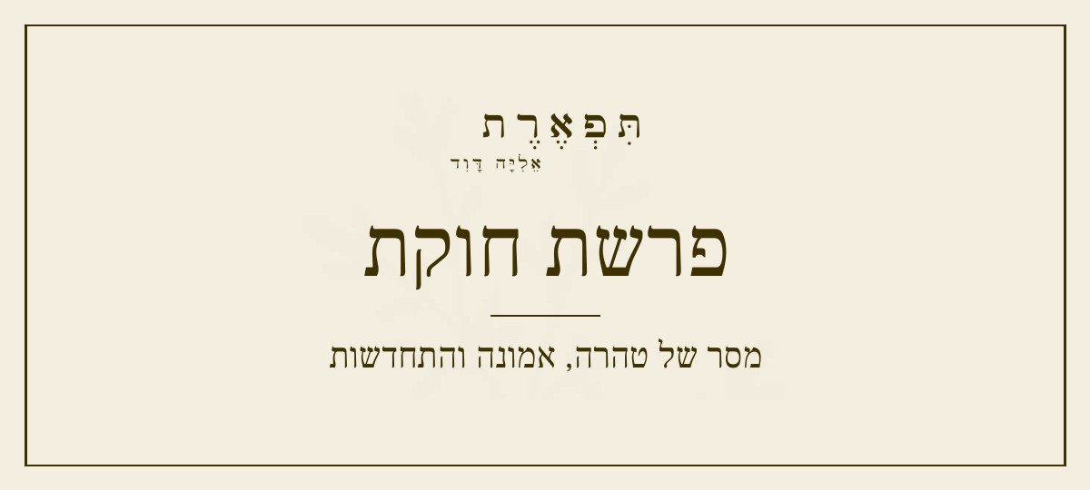 פרשת חוקת