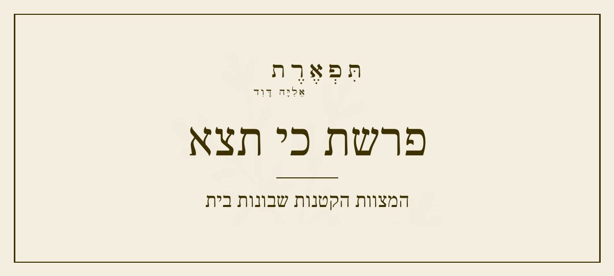 פרשת כי תצא